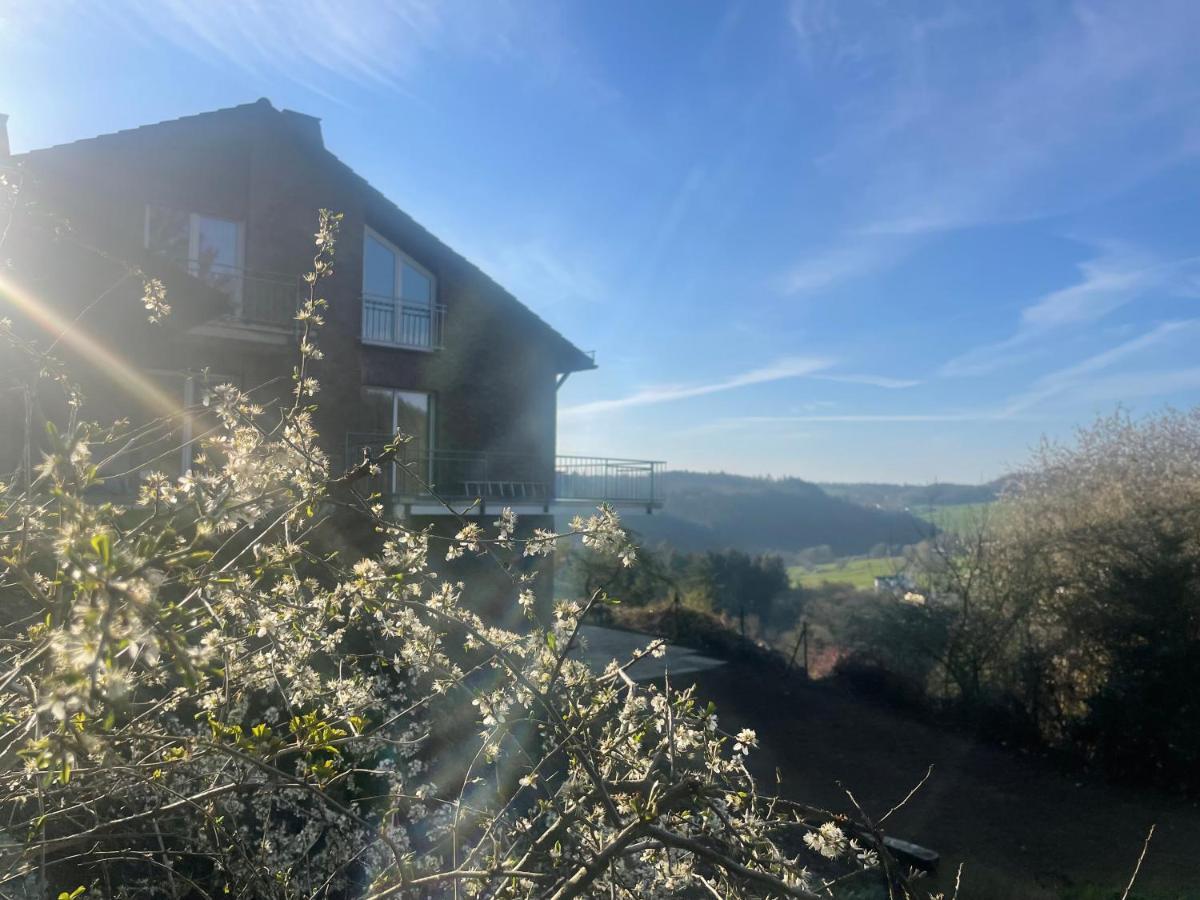 Appartement Traumhaus Am Wald 2 à Daun Extérieur photo